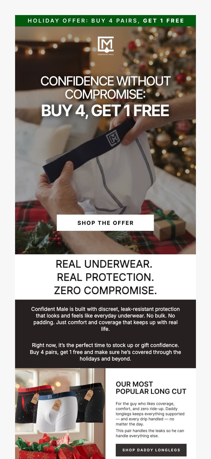 Designed holiday promotion email