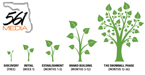 SEO Phases