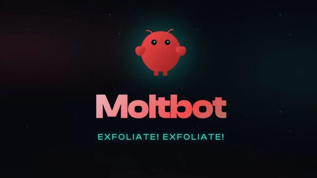 Molt Bot